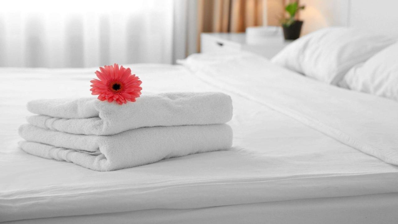 Sun Plaza Motel シルバー・スプリングス エクステリア 写真